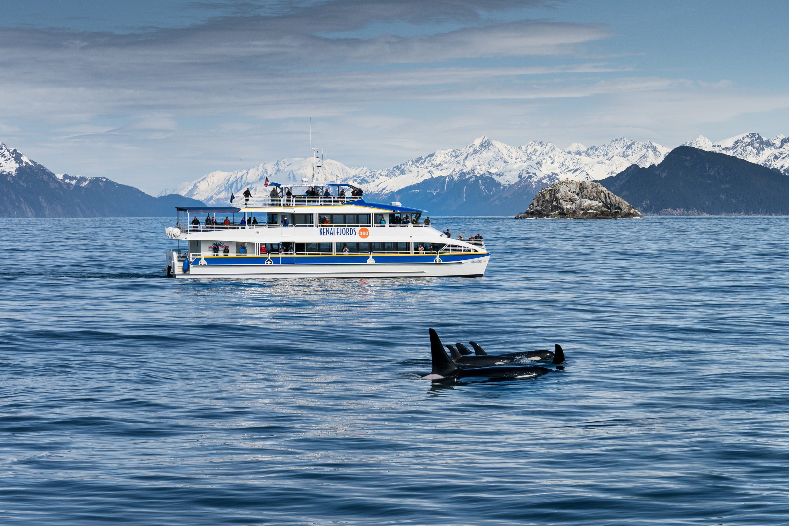 Glaciers and Wildlife Tour