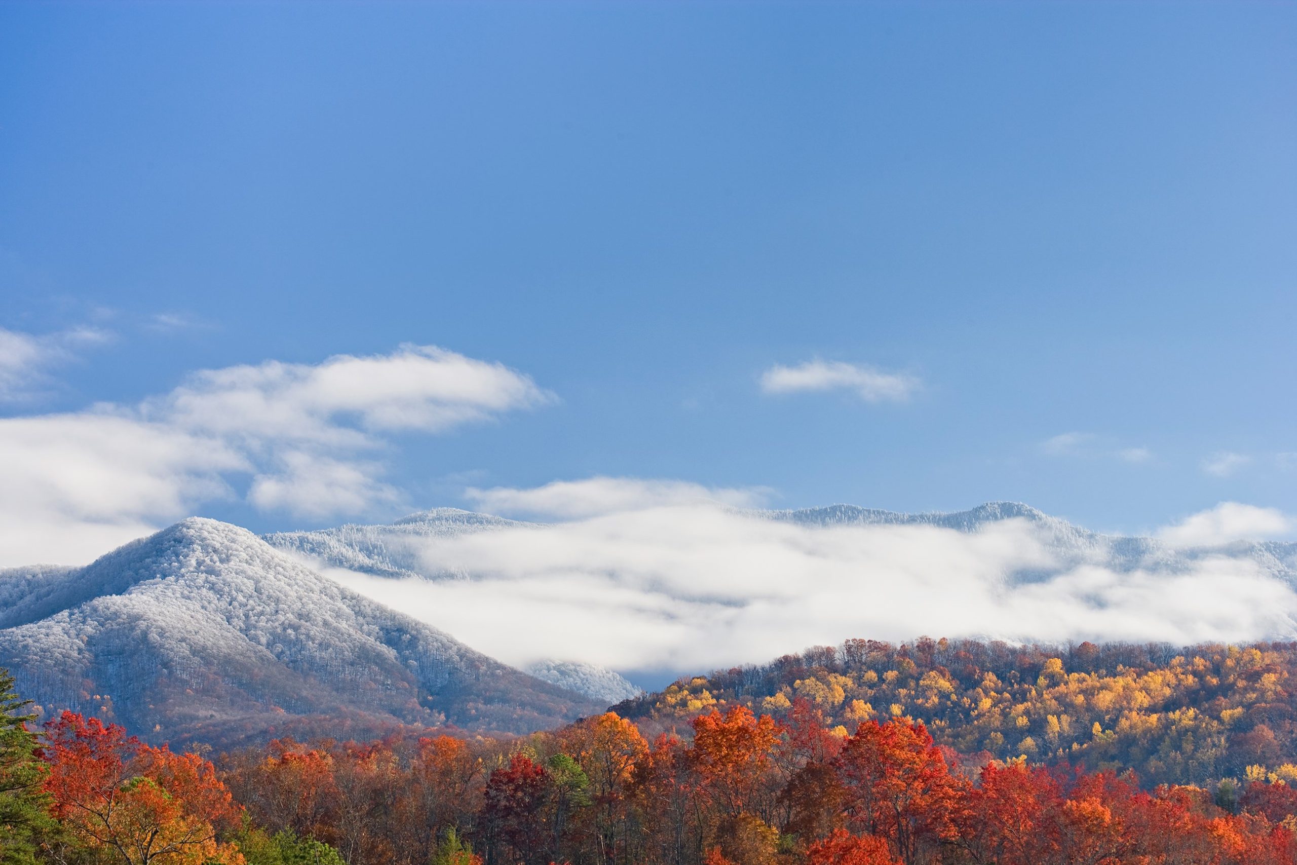 SPECTACULAR NATIONAL PARKS OF EASTERN USA